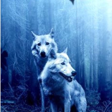 Tough Mommy Sexy OnlyFans