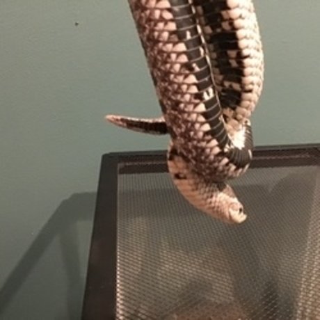 u8360874 OnlyFans-Pornos