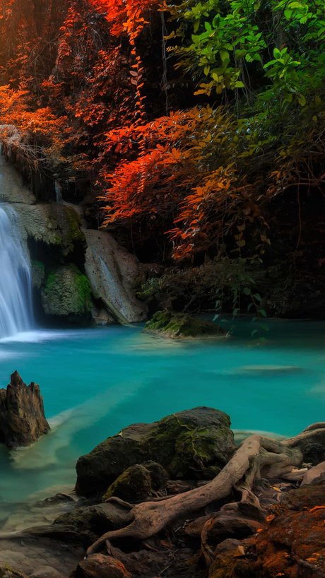 _Wolf Nacktbilder OnlyFans geleakt