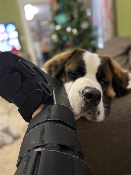 Nhdixiedanyell NurlyFans-Brüste