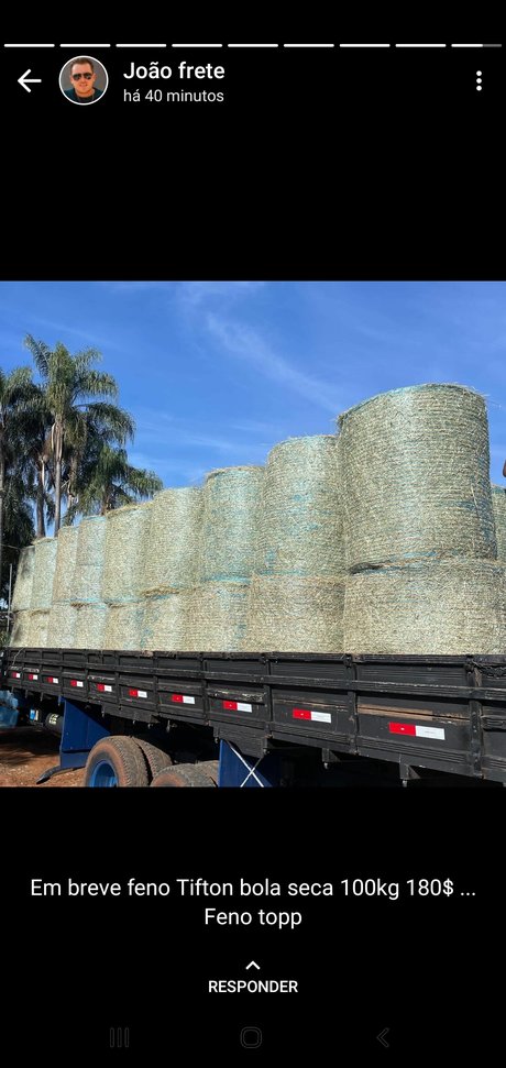 Tania Alvez OnlyFans Nacktbilder