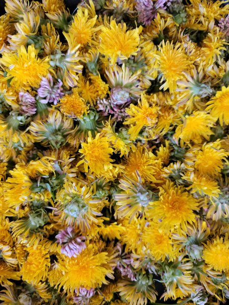 Topless talks with Mel 