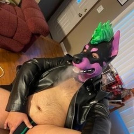 Izzy T AKA Pup Silo OnlyFans-Pornos