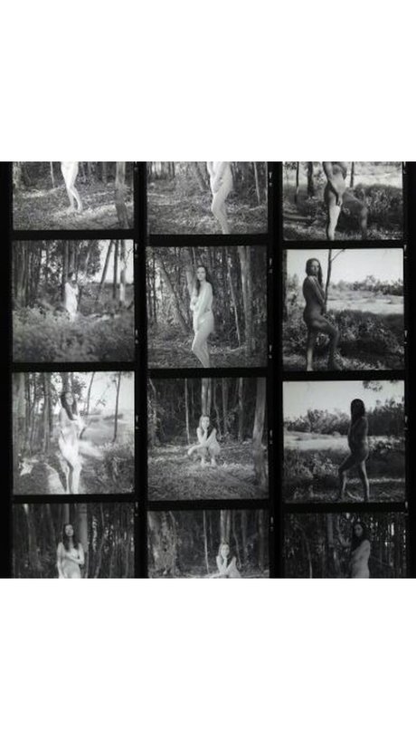 The Naked Bookclub OnlyFans Gratis Porn