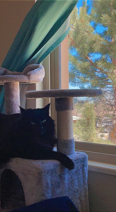 phthalo OnlyFans Lesbisch