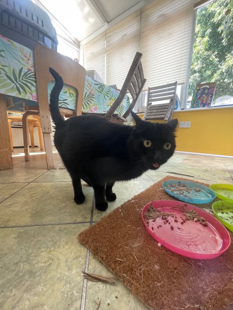 Marquis J Nackt OnlyFans