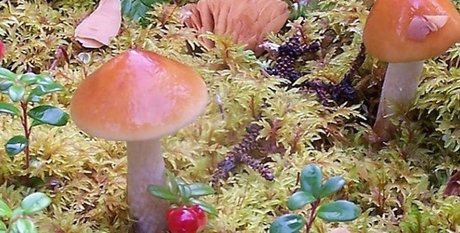 aurora jade OnlyFans Nackt Leaks