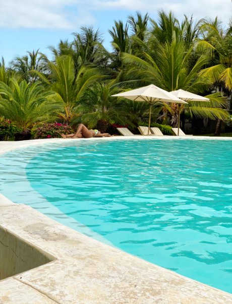 Sea mammal Neue OnlyFans Leaks