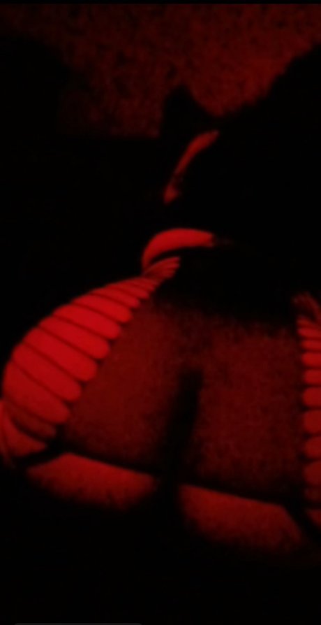 Cella_ OnlyFans Bilder