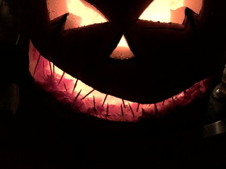 NoahDyck OnlyFans Nacktbilder