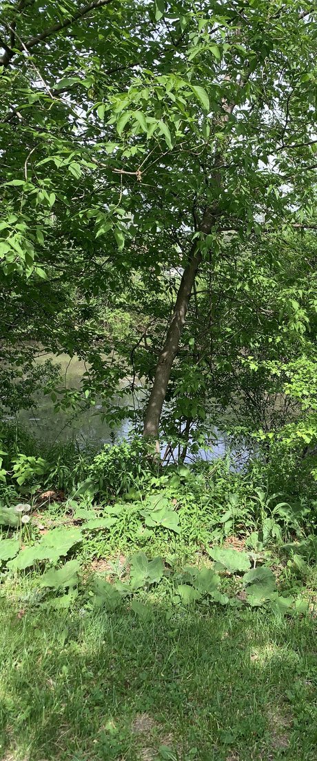 Wont Leaked OnlyFans Fotos