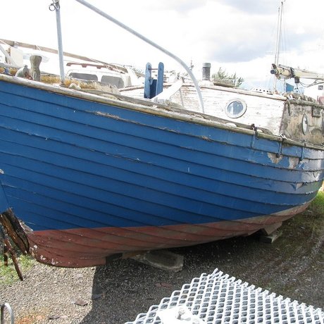 AlcyoneTheSeaking Nacktbilder OnlyFans