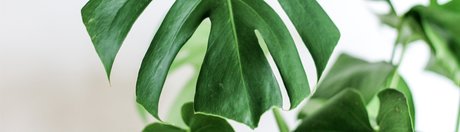 Sweet Peach 7 9_ Heiße OnlyFans Inhalte