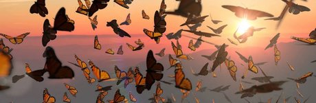 Odezza Dior_ XXX OnlyFans