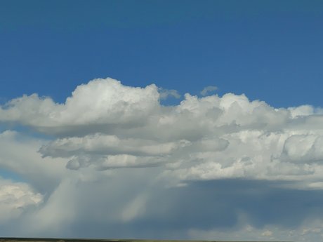 7 Cats OnlyFans-Bild