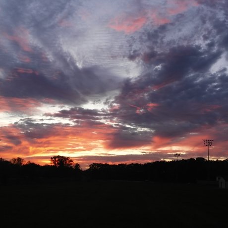 Oakland Lavender OnlyFans XXX