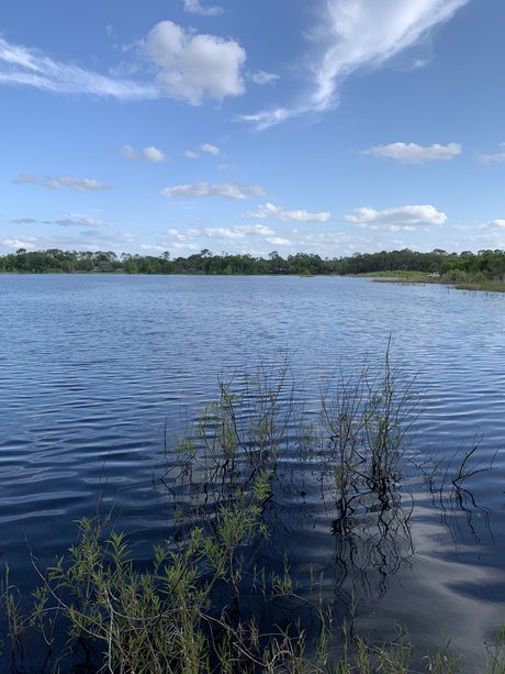 Puppy Mills Nacktbilder von OnlyFans geleakt