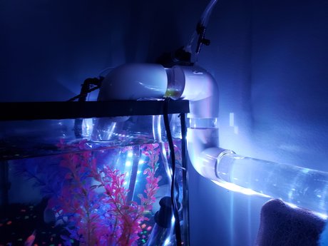 OnlyFishFans Nacktbilder von OnlyFans