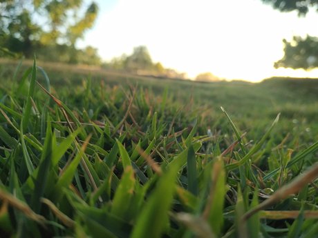 J Victor OnlyFans Sextape