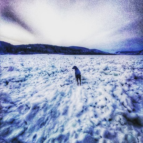 Old Man Willow Neue OnlyFans Leaks