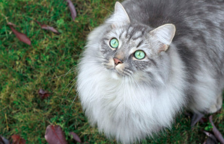 enchanted OnlyFans Inhalte