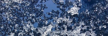 HungHomie OnlyFans-Creator