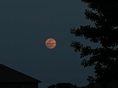 Michael Martinez OnlyFans geleakte Pornografie