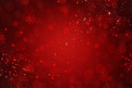 Estefany Amorim OnlyFans