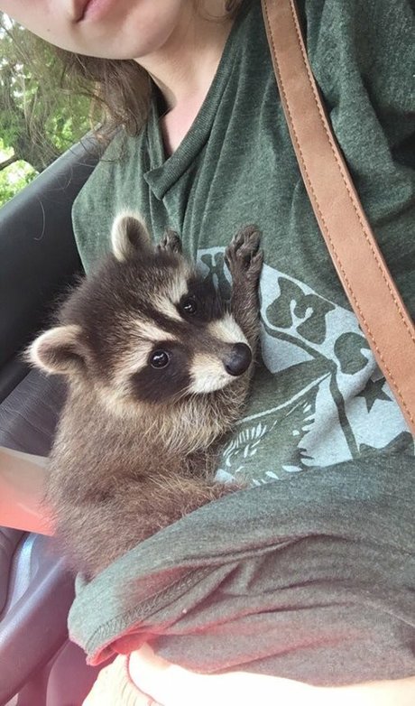 Rose Castella OnlyFans Porn