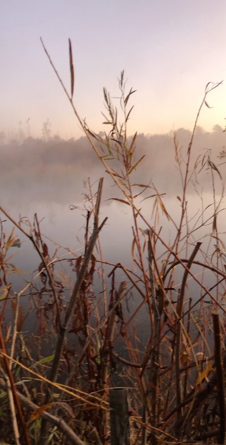 Guns and Ammo OnlyFans kostenlos geleakt