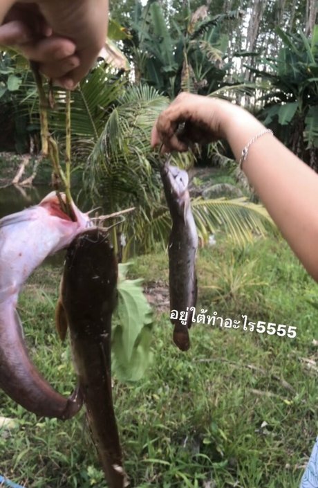 Cppxnd Sex auf OnlyFans