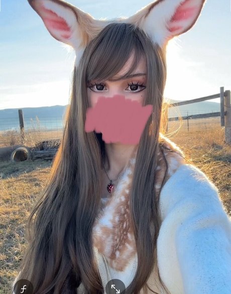 Kittypet Nacktbilder OnlyFans geleakt