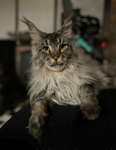 sperry69 Leaked OnlyFans Fotos