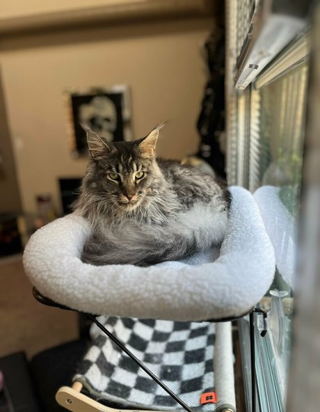 sperry69 OnlyFans Nacktbilder geleakt