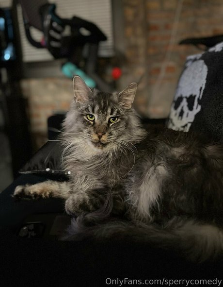 sperry69 Nacktbilder geleakt