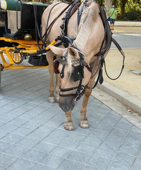 Mariana De Sousa Leaked OnlyFans Nacktbilder