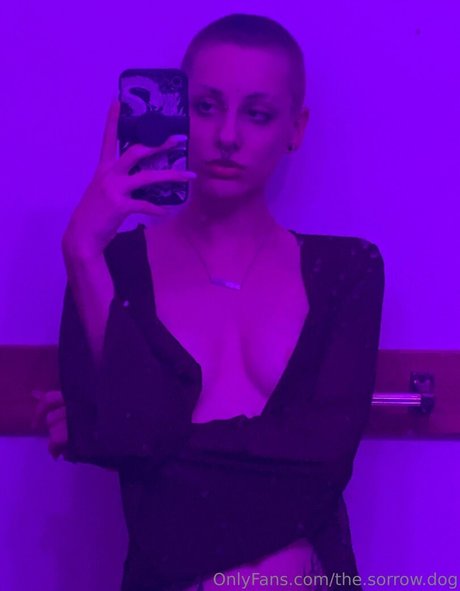 the sorrow dog OnlyFans Archiv