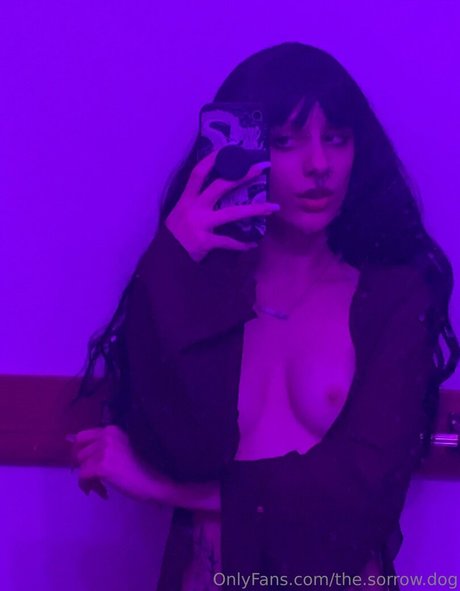 the sorrow dog Unzensiert OnlyFans