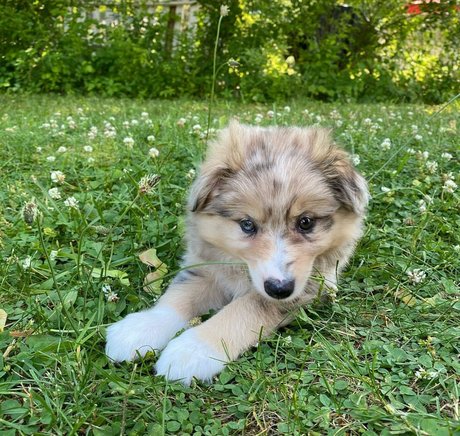 Nicole A Foster OnlyFans Leaks