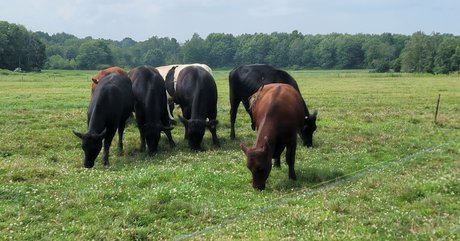 nellebeachgirl OnlyFans Fotos