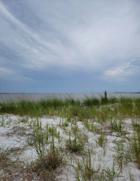 nellebeachgirl Profilbild