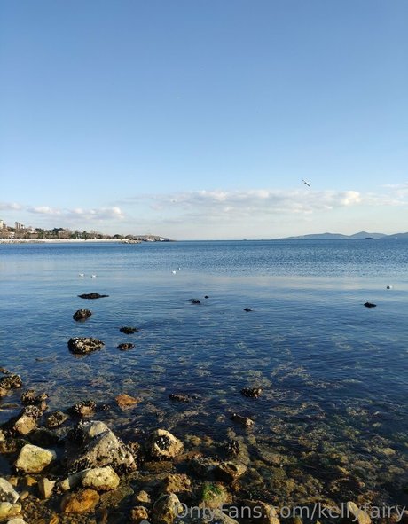 kellyfairy Profilbild