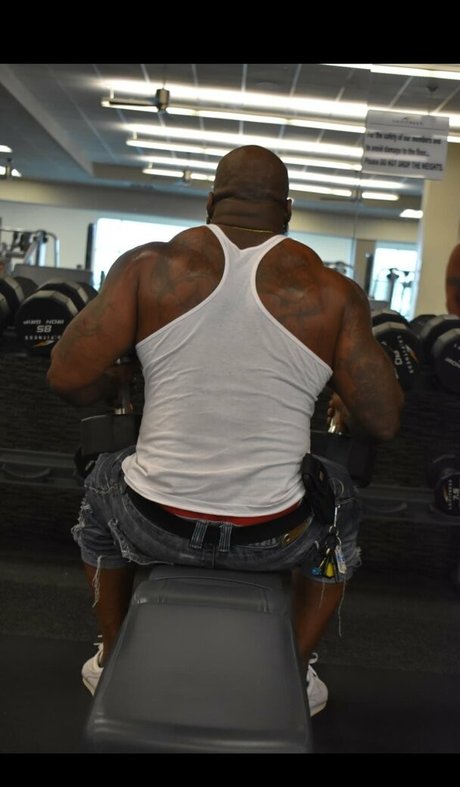 toolsfreepage NurlyFans-Brüste