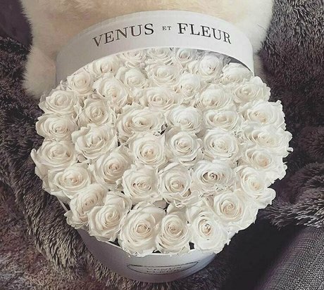 jadexvenus Nacktbilder-Leaks von OnlyFans