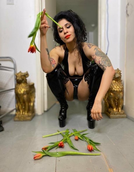 mistresssophiasahara OnlyFans Modelfoto