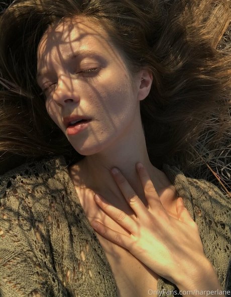 harperlane Profilbild