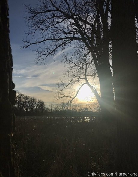 harperlane OnlyFans Leak Pornografie