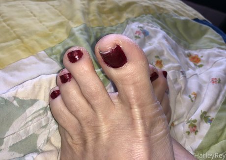 harleyrey Nacktbilder OnlyFans Leaks