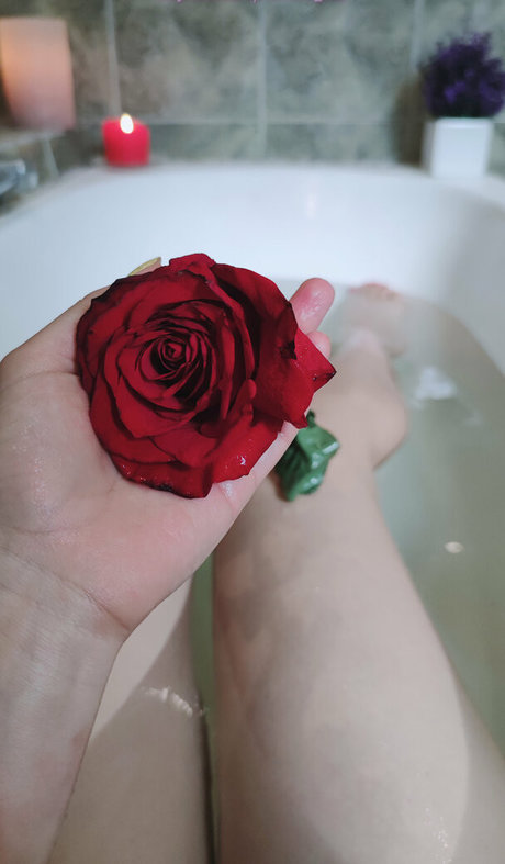 ashera cat OnlyFans geleakter Pornografie