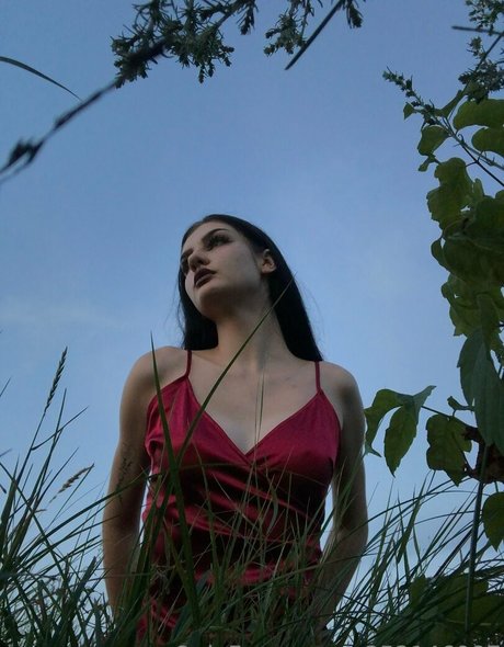 eve in wonderland OnlyFans Nacktbilder